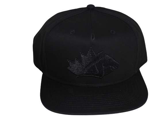 Alegria Logo Hat - Black
